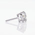 Alba - White Gold - alba-WG-round-angle_1