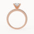 Andy - Rose Gold - andy-RG-princess-front