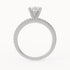 Andy - White Gold - andy-WG-oval-front