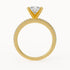 Andy - Yellow Gold - andy-YG-princess-front