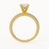 Andy - Yellow Gold - andy-YG-round-front