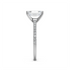 Ashnoor - White Gold - ashnoor-WG-emerald-side