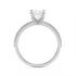Ashnoor - White Gold - ashnoor-WG-oval-front