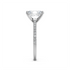 Ashnoor - White Gold - ashnoor-WG-oval-side