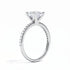 Ashnoor - White Gold - ashnoor-WG-princess-angle