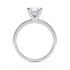 Ashnoor - White Gold - ashnoor-WG-princess-front
