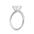 Ashnoor - White Gold - ashnoor-WG-round-angle