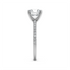 Ashnoor - White Gold - ashnoor-WG-round-side