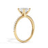 Ashnoor - Yellow Gold - ashnoor-YG-princess-angle
