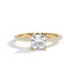 Ashnoor - Yellow Gold - ashnoor-YG-princess-hero