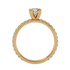 Celeste - Yellow Gold - celeste-YG-princess-front