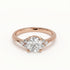 Daisy - Rose Gold - daisy-RG-round-hero