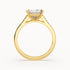 Grace - Yellow Gold - grace-YG-princess-front