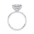 Helena - White Gold - helena-WG-princess-front
