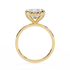 Helena - Yellow Gold - helena-YG-princess-front