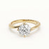 Lily - Yellow Gold - lily-YG-round-hero
