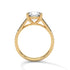 Luna - Yellow Gold - luna-YG-round-front