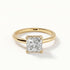 Meghan - Yellow Gold - meghan-YG-princess-hero