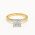 Olivia - Yellow Gold - olivia-YG-princess-hero