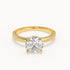 Olivia - Yellow Gold - olivia-YG-round-hero
