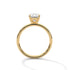 Opal - Yellow Gold - oval-front
