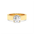 Radha - Yellow Gold - radha-YG-round-hero