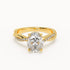 Riley - Yellow Gold - riley-YG-oval-hero