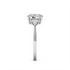 Seerat - White Gold - seerat-WG-oval-side