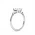 Seerat - White Gold - seerat-WG-princess-angle