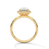 Stella - Yellow Gold - stella-YG-oval-front