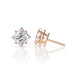 Sylvie - Rose Gold - sylvie-RG-princess-angle