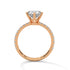 Ursula - Rose Gold - round-front