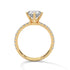 Ursula - Yellow Gold - round-front