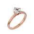 Violet - Rose Gold - round-front-2