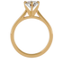 Violet - Yellow Gold - round-front