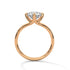 Wren - Rose Gold - round-front