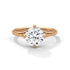 Wren - Rose Gold - round-hero