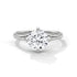 Wren - White Gold - round-hero