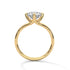 Wren - Yellow Gold - round-front