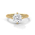 Wren - Yellow Gold - round-hero