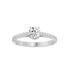 Zara - White Gold - zara-WG-round-hero